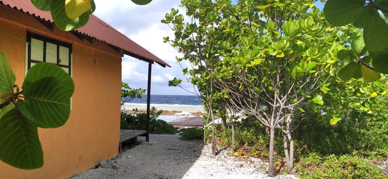 Fakarava - Teariki Lodge 1 Екстериор снимка