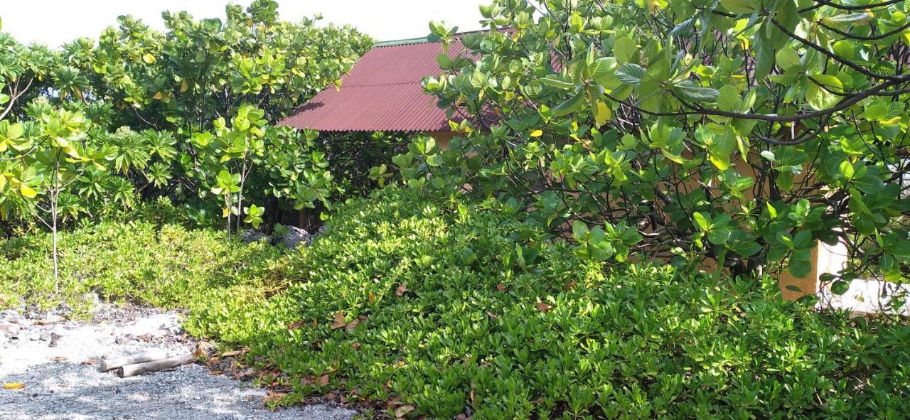Fakarava - Teariki Lodge 1 Екстериор снимка